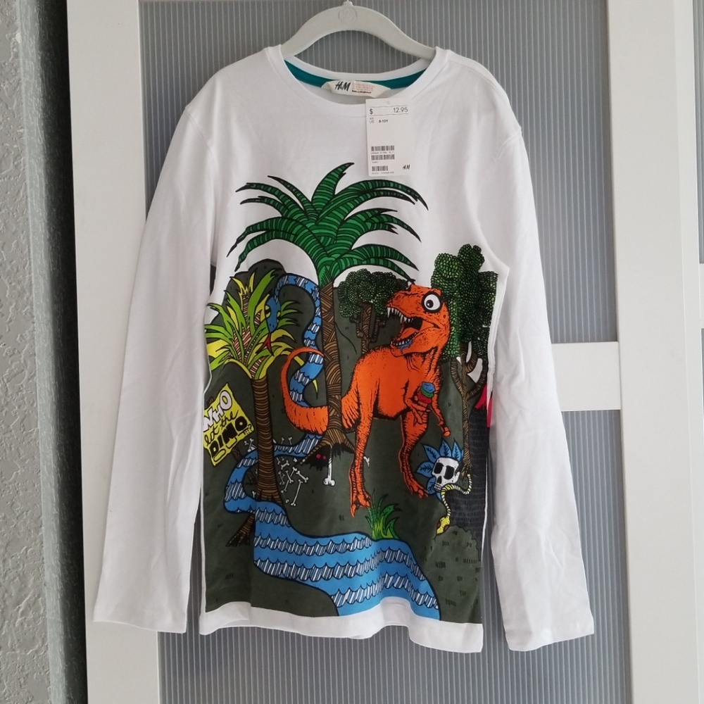 Boys Dinosaurs Long Sleeved T Shirt